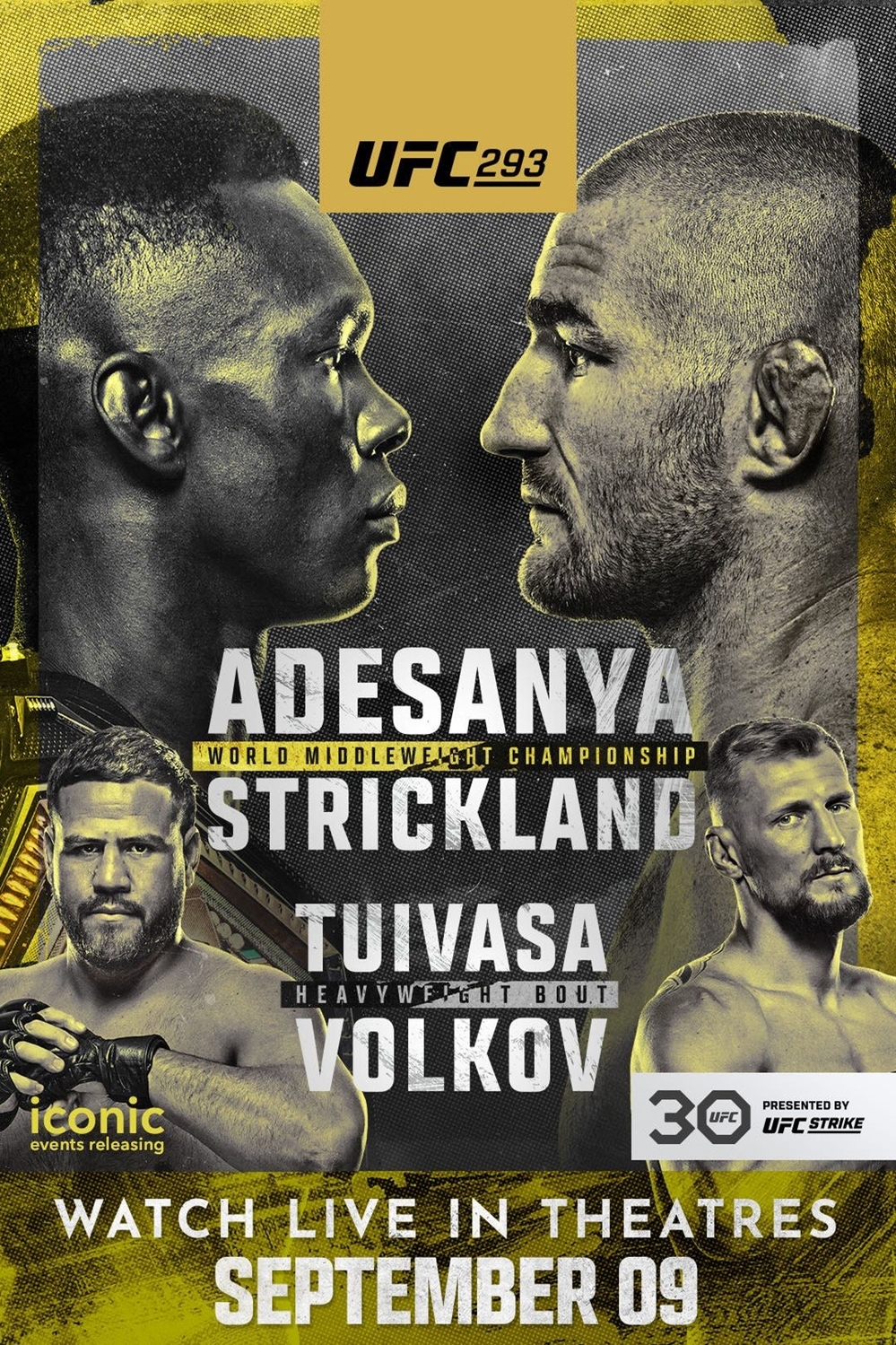 UFC 293